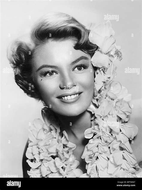 sheree north photos|280 Sheree North Pictures Stock Photos & High